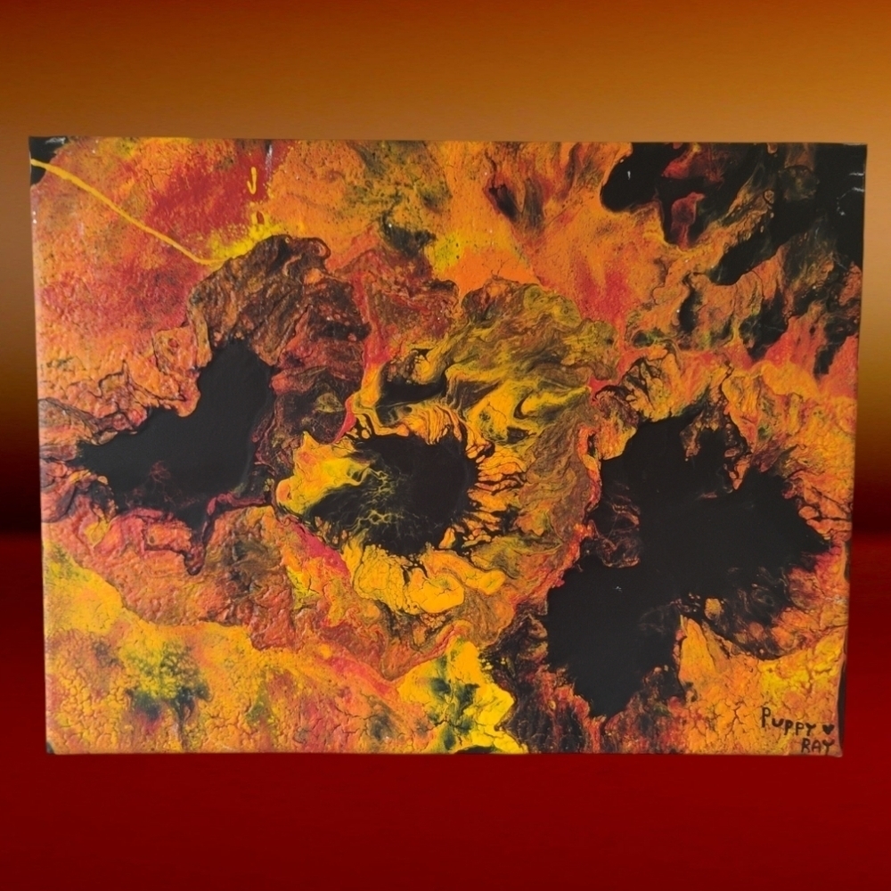 Fluid Acrylic Pour Painting, Pour Art, Abstract Art, young budding artist! 12x16